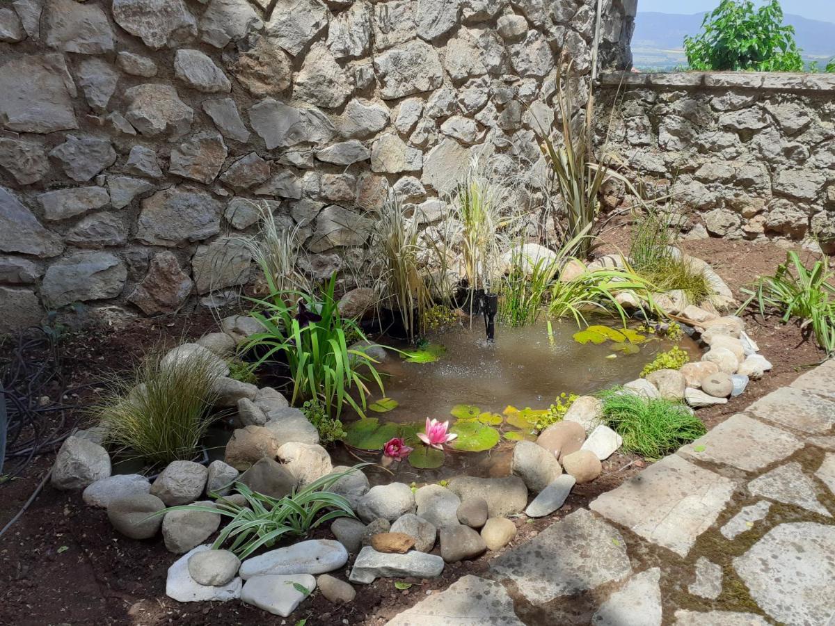 Agoriani Art Suite - 4 Seasons' Natural Living Lílaia Eksteriør bilde